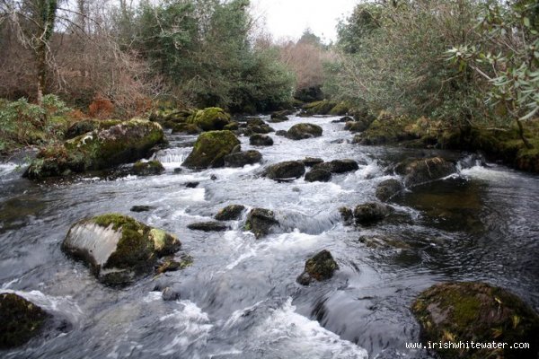 bolder garden upstream from big drop( low water)