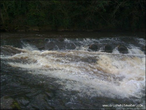 The V weir , low water.