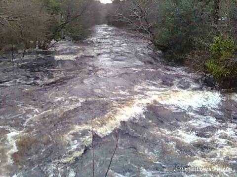 View downstream from Oldbridge in flood. 16/01/10