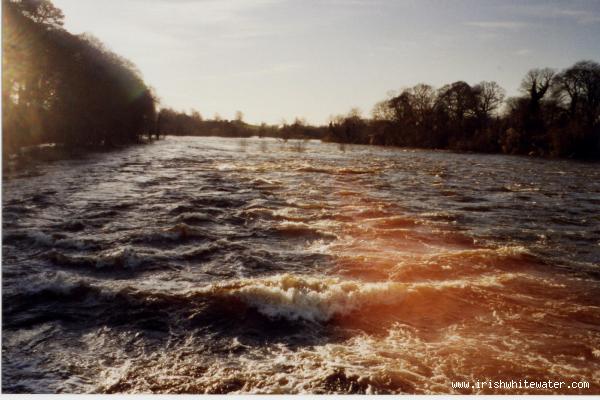 View of flooded Shannon