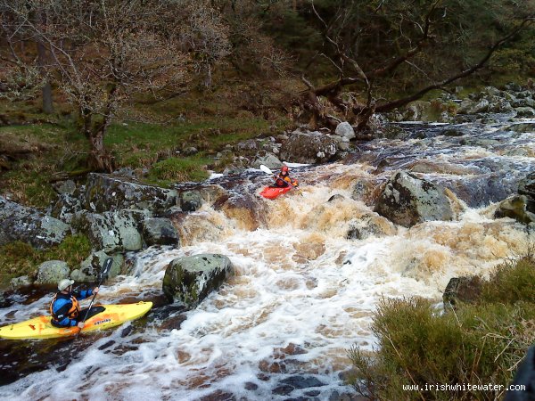 caroline "caz" finn on the upper liffey ,low water