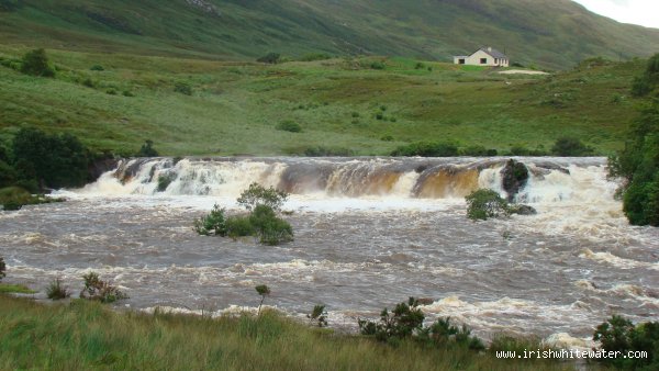 ashleagh falls august 16