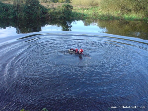 Seal Launching into the pool beside the carpark at clashganny
