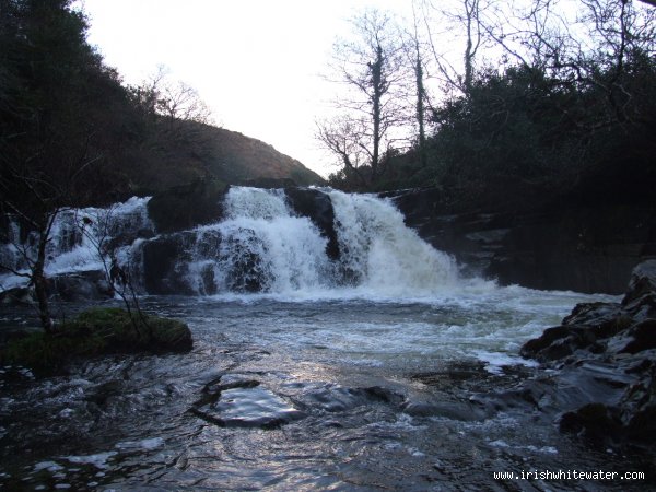 2nd drop after put in