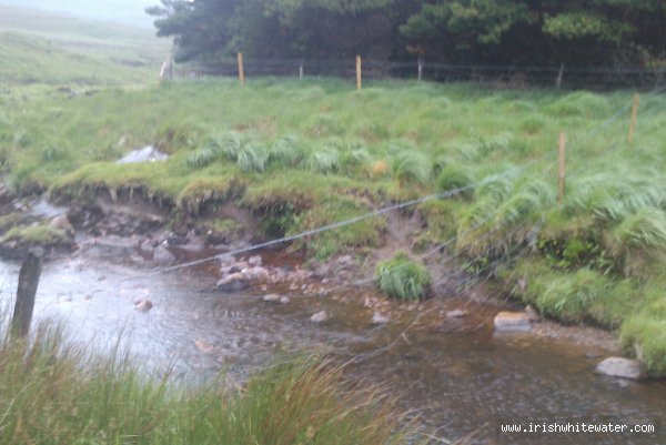 The main Sheep fence and barbed wire at the end of the forestry section with no water.