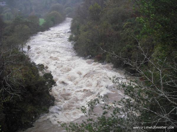 The gates,oct hol 2005