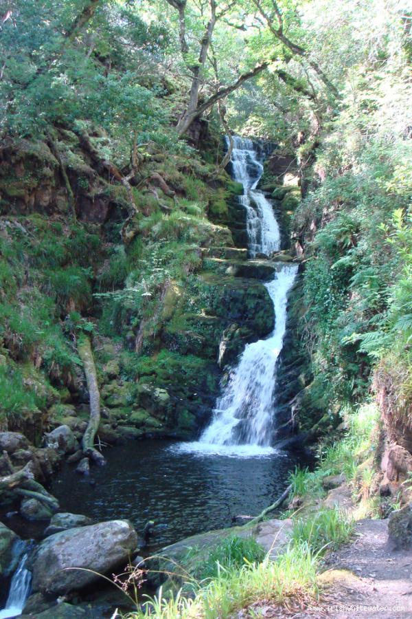 O'Sullivan's cascade in Tomies Woods, Killarney, Ireland. <br />http://flickr.com/photos/epc/
