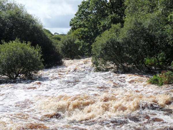Top section – very high water in Autumn 2008 – ’last chance‘ eddy is on river right somewhere down there