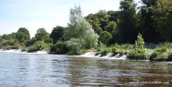 Kilkenny Castle Weir: Centre Section..very overgrown