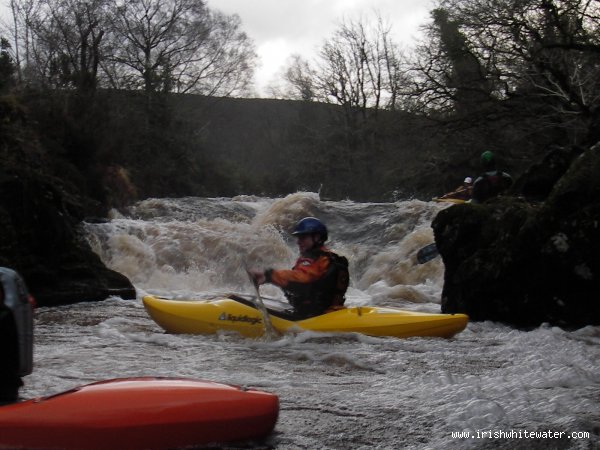 jacksons medium high