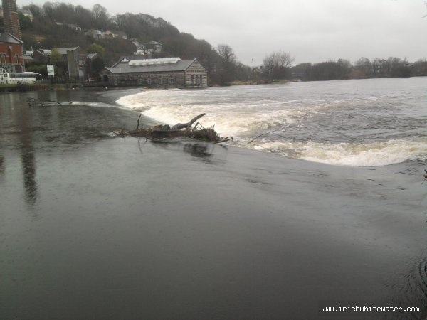 tree stuck on weir high water