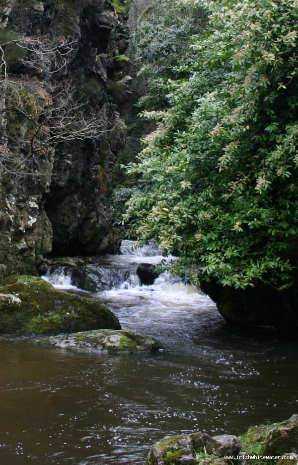 Dargle river on Low water
