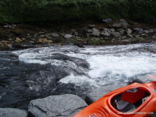 Lough Hyne Tidal Rapids