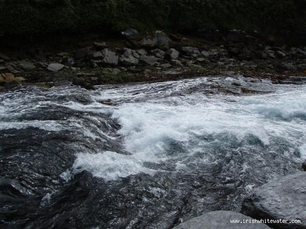 Lough Hyne Tidal Rapids