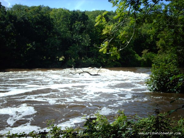 wrens nest weir mega water aug 08