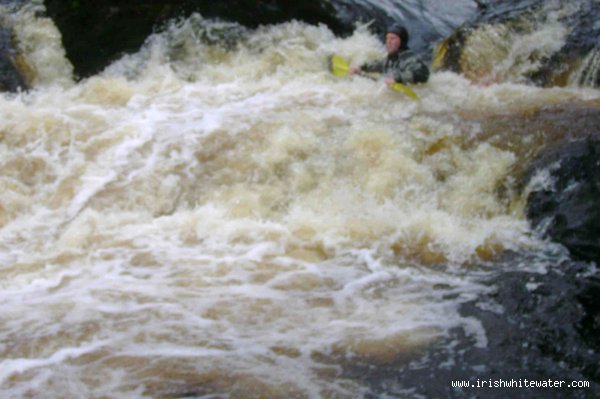 doc on little jacksons