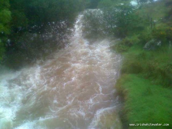 Just above first bridge, tree now cut back