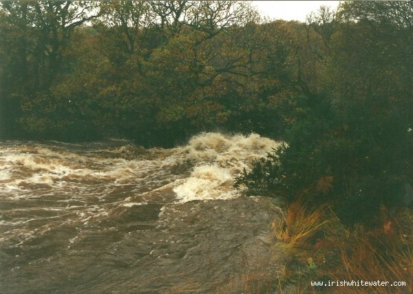 jackson falls at approximately 300 on the gauge, the water is running around the rescue tree. taken from river right (jacksons is about 3mtrs below green wave