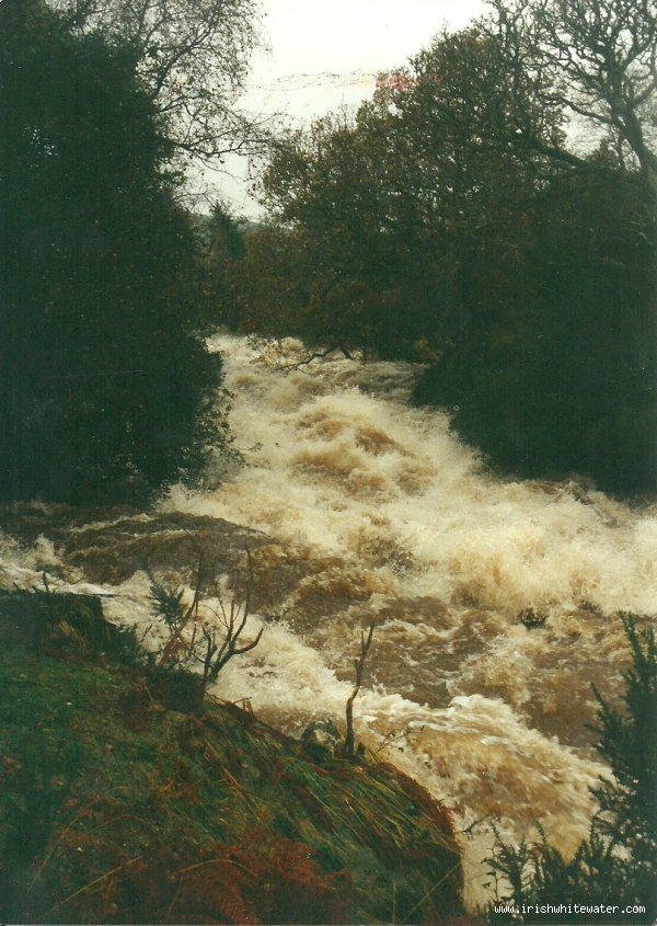 looking upstream from river right above little jacksons.300 on gauge,nov 2000