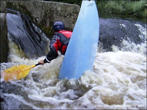 evan at the salmon box, tullow k/c