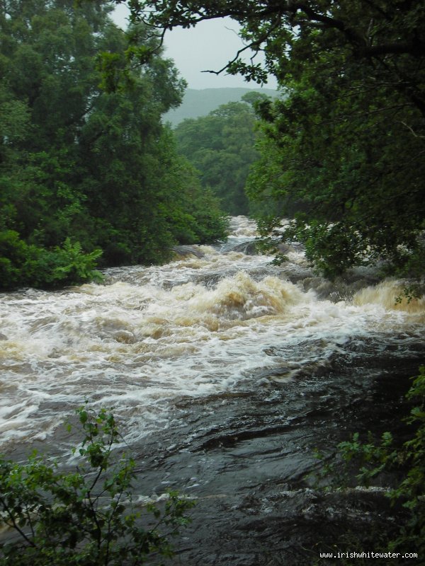 jacksons run-in 5/07/08