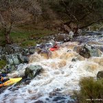 caroline "caz" finn on the upper liffey ,low water