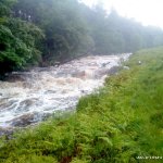 upper liffey at 90 on the irishwhitewater gauge Paddler- James Van der brook