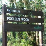 Pooleen Wood, Put In