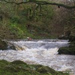 River wide natural weir in high water a little retentive