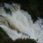 cascade in flood nov 2011